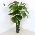 Изкуствено растение Alocasia Odora PA06/150 Елегантно Без Саксия, 150см Зелено – Хармонично и Идеално за Стилни Акценти
