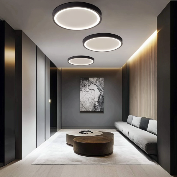 LED плафон IP44 40W Ултра тънък Дебелина 2.1см D40см 6500K 4000lm DMDS01-400MM-40W Черен