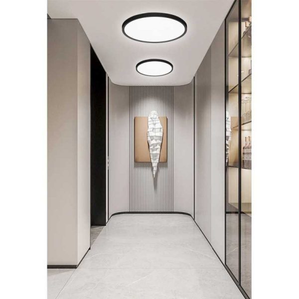 LED плафон IP44 40W Ултра тънък Дебелина 2.1см D40см 6500K 4000lm DMDS01-400MM-40W Черен